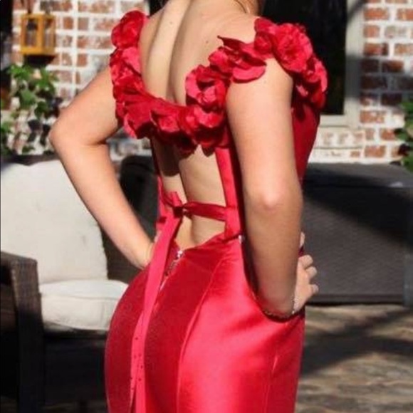Sherri Hill Prom dresses - Picture 4 of 4